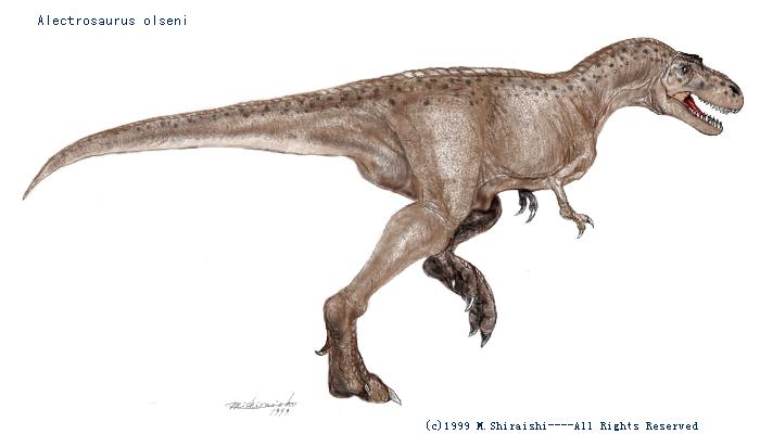 dino Alectrosaurus olseni.jpg
