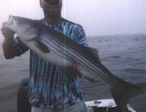 Fishing Striped Bass-striper.jpg