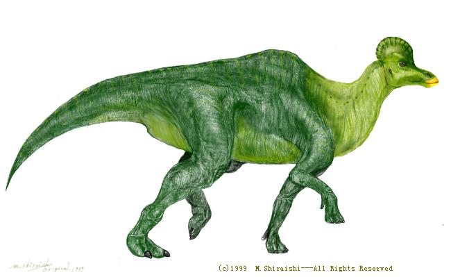 dino Corythosaurus3.jpg