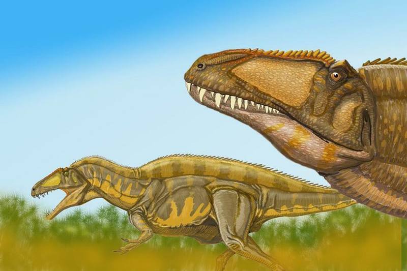 2Acrocant-Acrocanthosaurus atokensis.jpg