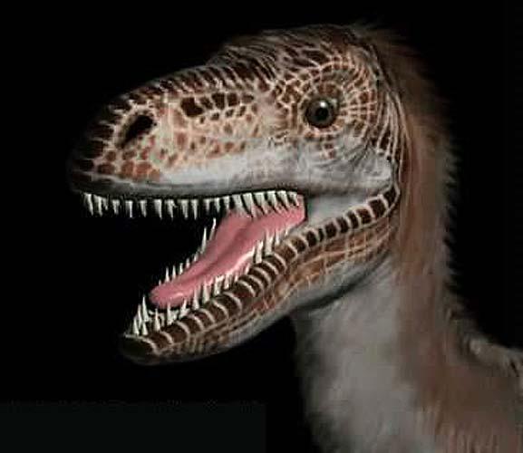 dromaeosaurus-jff.jpg