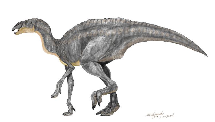 dino Edmontosaurus.jpg