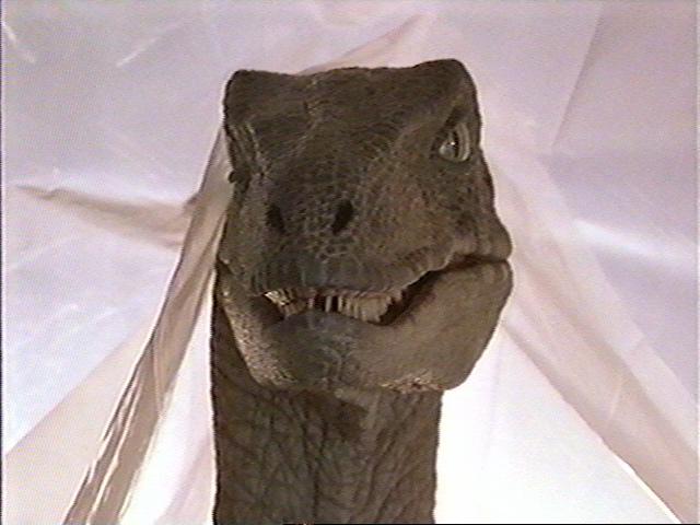 JurassicPark-Velociraptor2-Face-Curtain.jpg