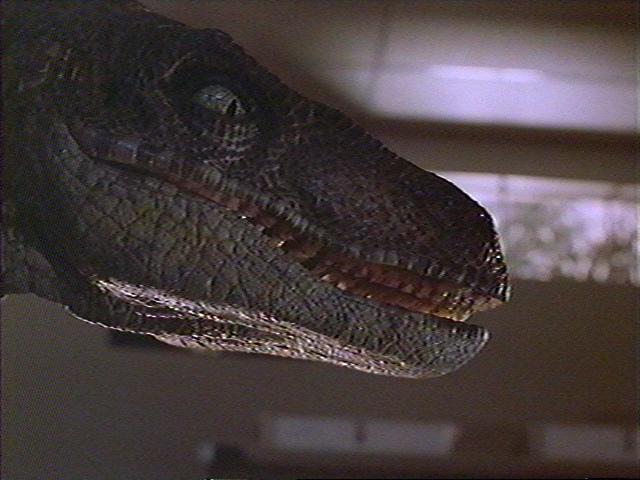 JurassicPark-Velociraptor4-Face-Closeup.jpg