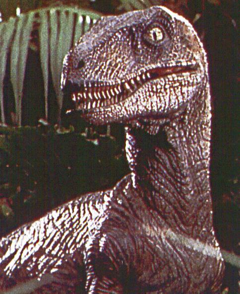 JurassicPark-Velociraptor-Closeup.jpg
