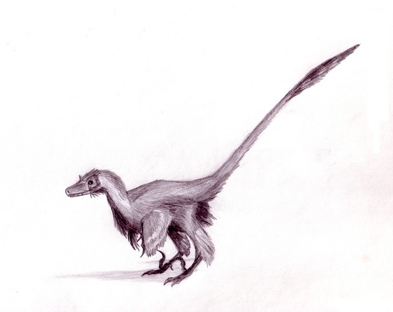 Velociraptor dinoguy2.jpg