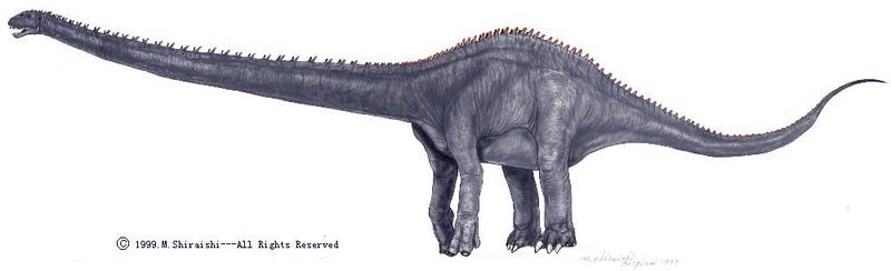 dino Mamenchisaurus.jpg