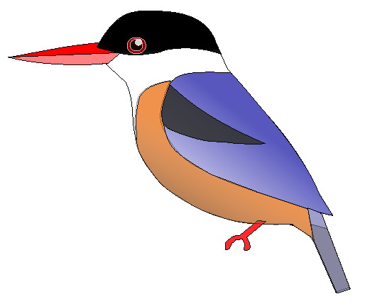 Halcyon pileata Black-capped Kingfisher (Halcyon pileata).jpg