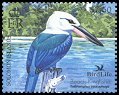  84071 White-headed Kingfisher, Halcyon saurophaga.jpg