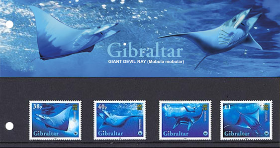 Giant Devil Ray (Mobula mobular) stamp, Gibraltar.jpg