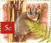 Leadbeaters-Possum-on-Australian-5-cent-stamp.jpg