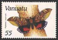 vanuat02 Pink Underwing Moth (Phyllodes imperialis).jpg