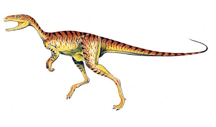Chindesaurus.bmp