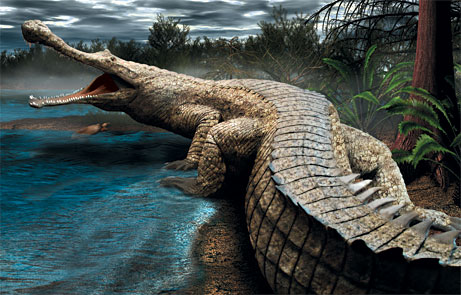 SuperCroc, Sarcosuchus imperator.jpg