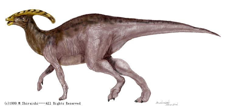 dino Parasaurolophus.jpg