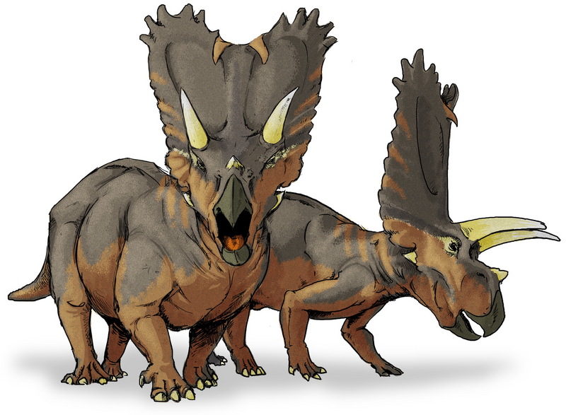 Pentaceratops dinosaur.jpg
