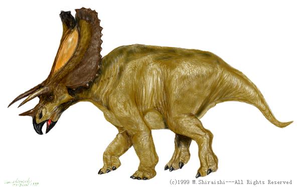 dino Pentaceratops.jpg
