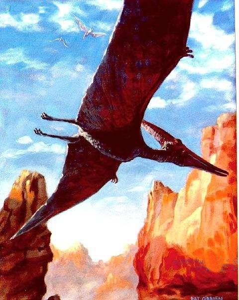 pteranodon-po.jpg