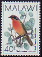 Black-fronted Bushshrike, Telophorus nigrifrons, Malawi Stamp.jpg