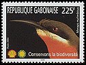 Rosy Bee-eater (Merops malimbicus), Gabon, 2004.jpg