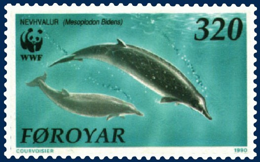 Faroe stamp 197-Sowerby\'s Beaked Whale (Mesoplodon bidens).jpg