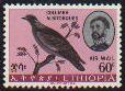 0637-White-collared Pigeon (Columba albitorques).jpg