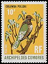 0095-Comoro Olive-pigeon (Columba pollenii).jpg