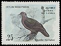0827-Sri Lanka Wood-pigeon (Columba torringtoni).jpg
