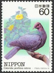 1983-84-japon-aves07 miniatura-Japanese Wood-pigeon (Columba janthina nitens).jpg
