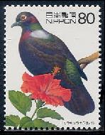 Japan-bird904-Ryukyu Wood-pigeon (Columba jouyi).jpg