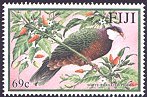  66027-Metallic Pigeon (Columba vitiensis)-White Throated Pigeon.jpg