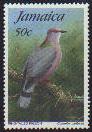 0868 Ring-tailed Pigeon (Patagioenas caribaea).jpg