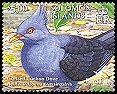  66079 Crested Long-tailed Pigeon, Reinwardtoena crassirostris, Crested Cuckoo-dove.jpg