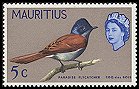 0320 Mascarene Paradise-flycatcher (Terpsiphone bourbonnensis).jpg