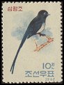 0399 Black Paradise-flycatcher (Terpsiphone atrocaudata).jpg