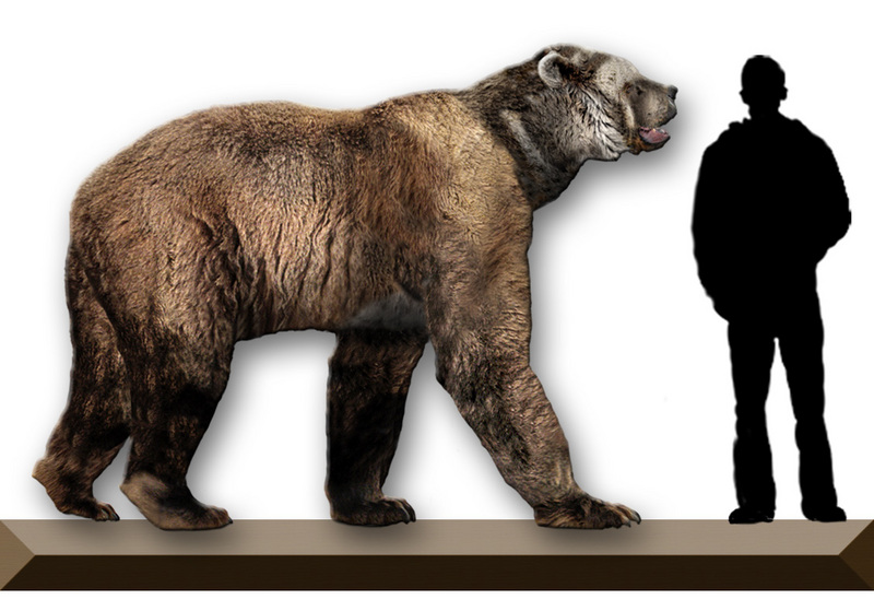 Giant Short-Faced Bear (Arctodus simus) Reconstruct.jpg