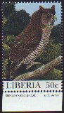 Banded or Shelley\'s Eagle-owl (Bubo sumatranus).jpg