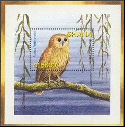 Rufous Fishing-Owl, Scotopelia ussheri or Bufo.jpg