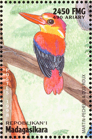 mgc199919l-Rufous-backed Kingfisher (Ceyx rufidorsa).jpg