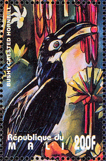 mli199555l-Bushy-crested Hornbill (Anorrhinus galeritus).jpg