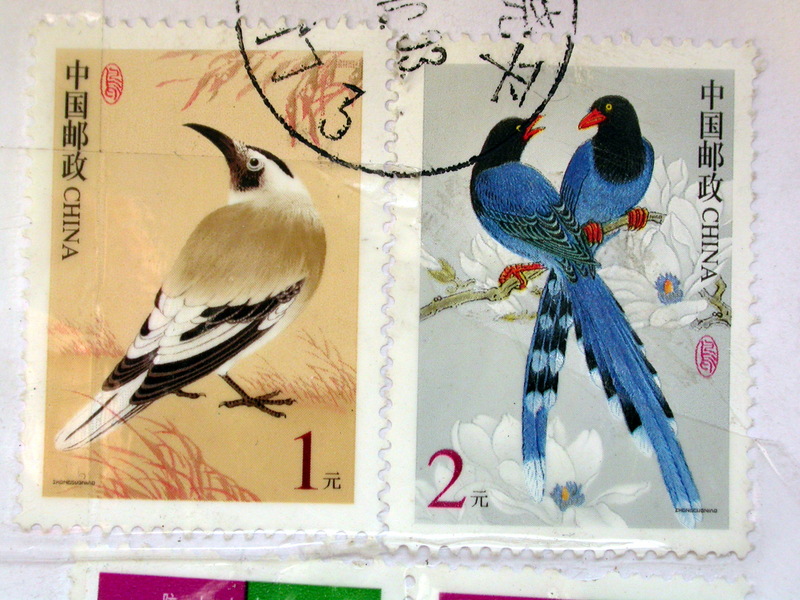 DSCN0784-Biddulph\'s Ground Jay (Podoces biddulphi), Sri Lanka Blue Magpie or Ceylon Magpie (Urocissa ornata).jpg