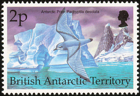 bat199803l-Antarctic Prion (Pachyptila desolata).jpg
