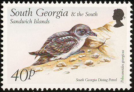 sos199908l-Georgian or South Georgia Diving Petrel (Pelecanoides georgicus), stamp.jpg
