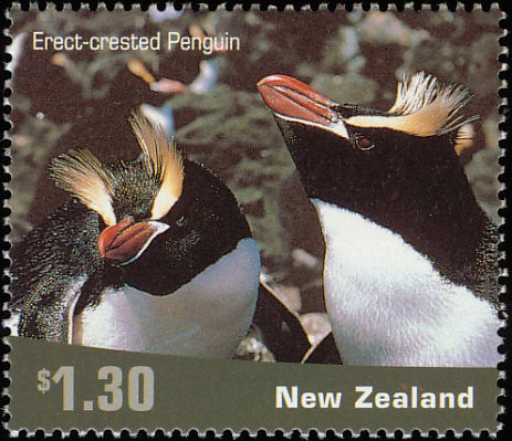 nez200106l-Erect-crested Penguin (Eudyptes sclateri).jpg