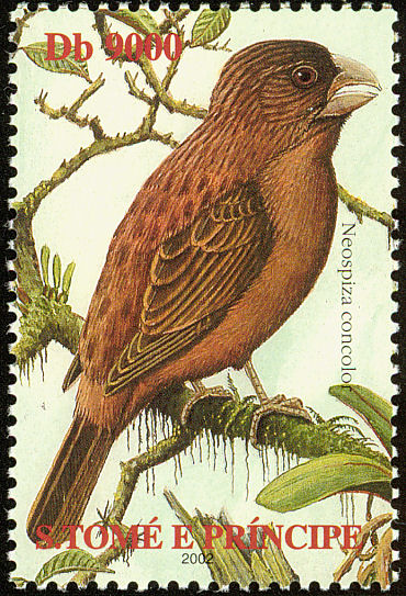 sao200203l-S??o Tom?? Grosbeak, Neospiza concolor, Stamp of Sao Tome de Principe.jpg
