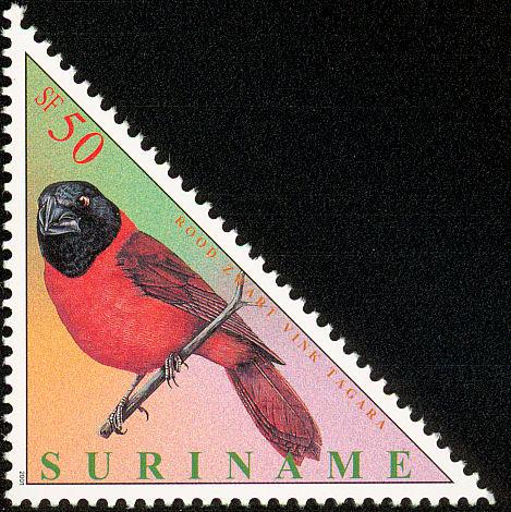 sur200102l-Red-and-black Grosbeak (Periporphyrus erythromelas).jpg