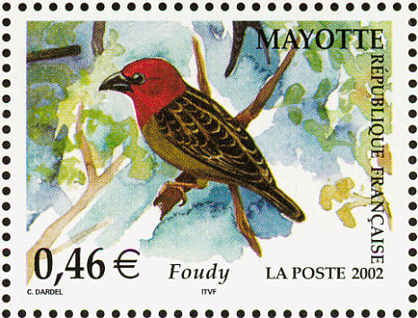 may200204l-Comoro or Red-headed Fody (Foudia eminentissima).jpg