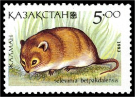 Desert Dormouse (Selevinia betpakdalaensis) stamp.jpg