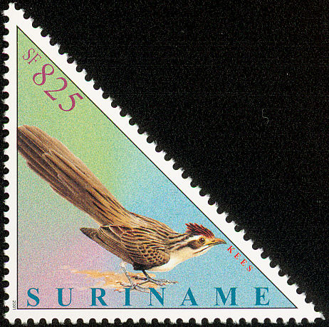 sur200110l-Striped Cuckoo (Tapera naevia).jpg