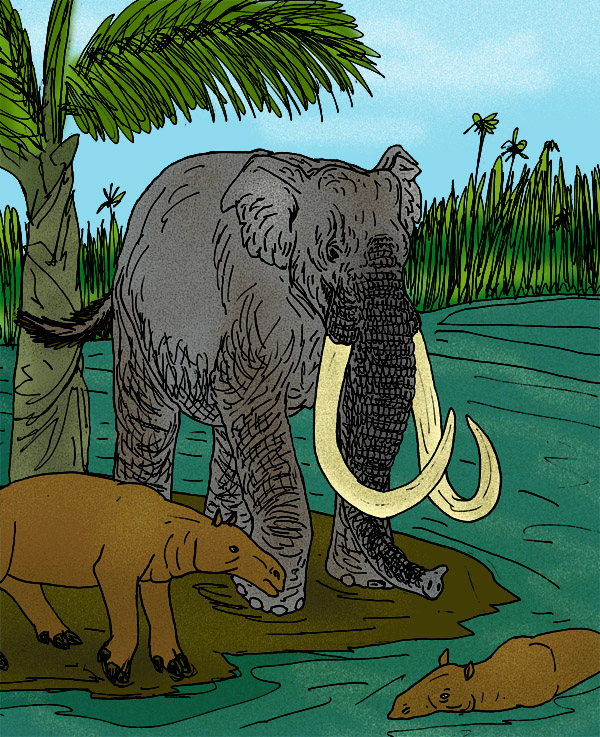 African Mammoth (Mammuthus africanavus).jpg